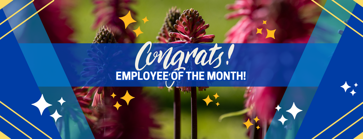 Decorative. Banner text reads: Congrats Employee of the Month!