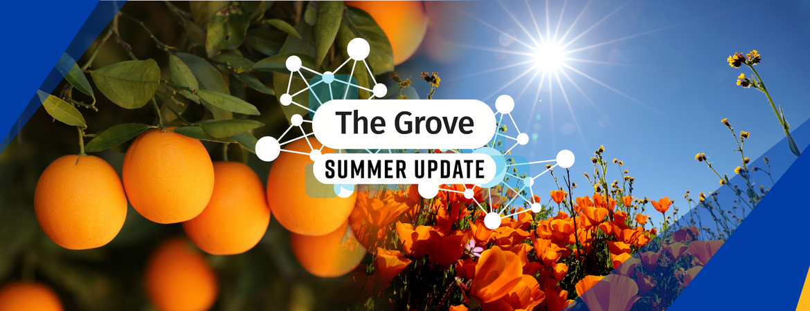 Decorative. Banner text reads: The Grove Summer Update.