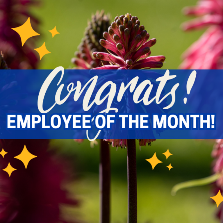 Decorative. Banner text reads: Congrats Employee of the Month!