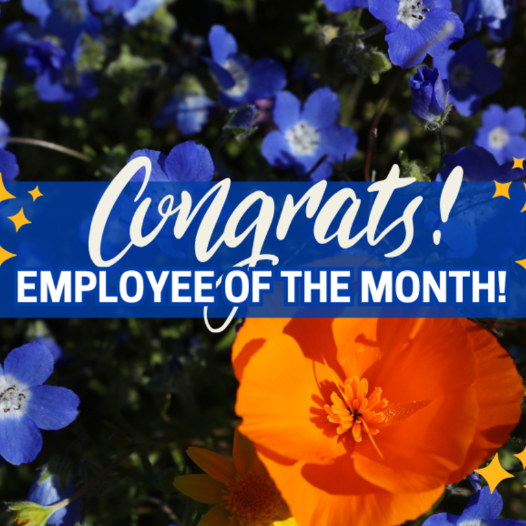 Decorative. Banner text reads: Congrats Employee of the Month!