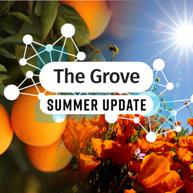 Decorative. Banner text reads: The Grove Summer Update.