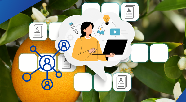Image of a woman looking at an open laptop with an orange tree in the background