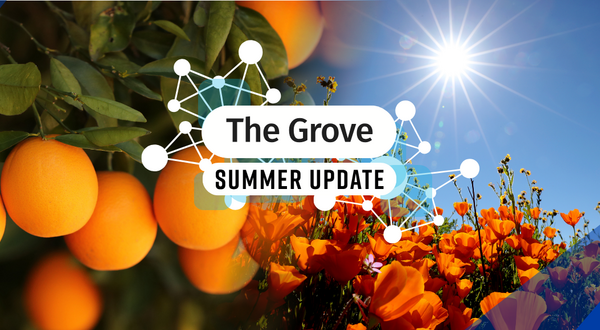 Decorative. Banner text reads: The Grove Summer Update.