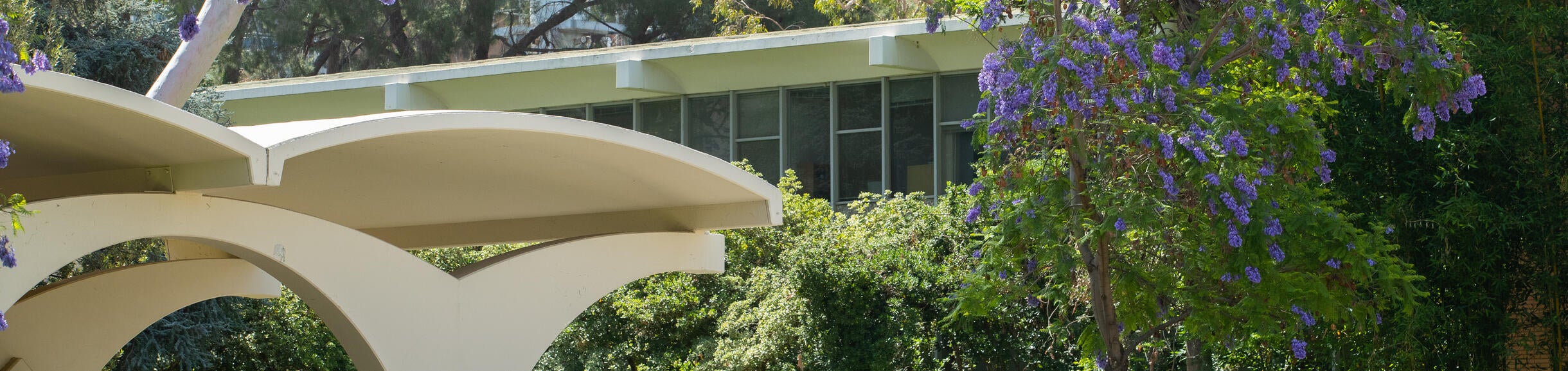 Rivera Library Arches with greenery