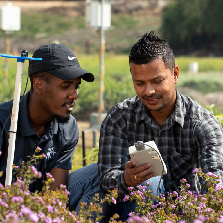 two researchers on plant field use special handheld device
