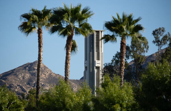 Bell Tower Surrounded by Palm Trees