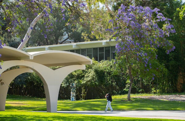 Rivera Library Arches with greenery