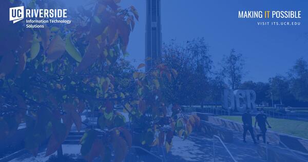 Leaves changing color on UCR campus - Bell Tower in the background