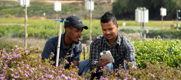 two researchers on plant field use special handheld device