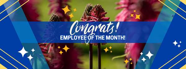 Decorative. Banner text reads: Congrats Employee of the Month!