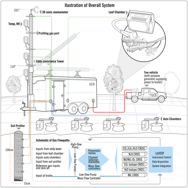 ccb field model