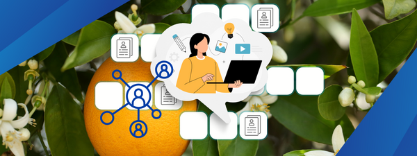 Image of a woman looking at an open laptop with an orange tree in the background