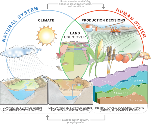 Natural Human Systems