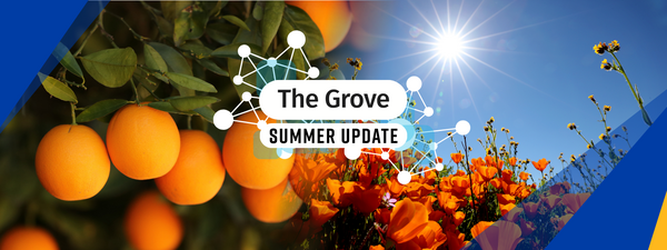 Decorative. Banner text reads: The Grove Summer Update.