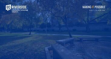 Two benches by grass covered in autumn leaves